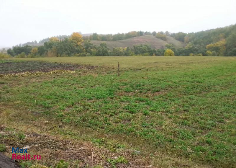 Бавлы село Верхняя Фоминовка продажа частного дома