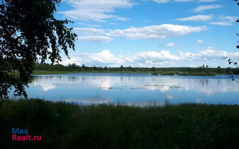 Камешково Камешковский район, садоводческое некоммерческое товарищество Новая Жизнь дом купить