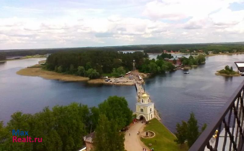 Осташков тверская область. р-н Осташковский. с/п Сорожское. д Уницы.дом 11 дом купить