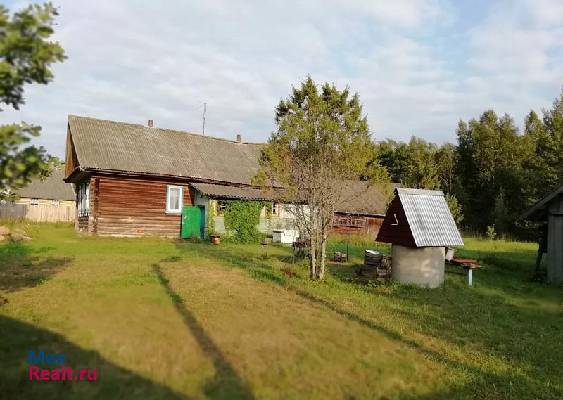 Осташков деревня Нижние Котицы