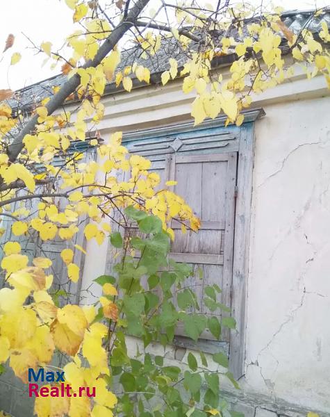 Бутурлиновка улица 40 лет Октября, 45 частные дома