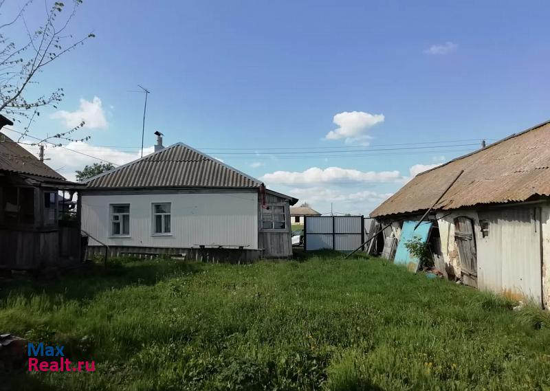 Бутурлиновка село Патокино продажа частного дома