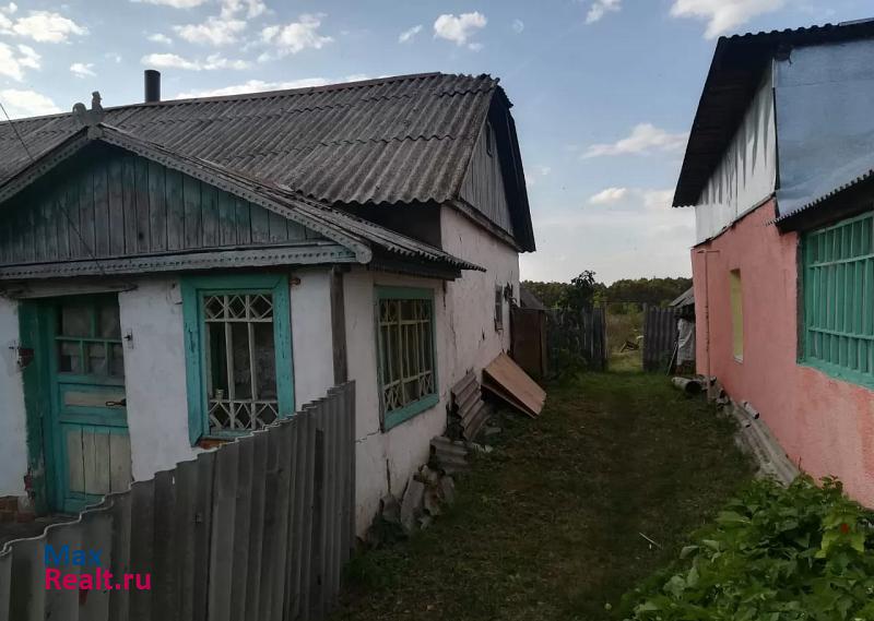 Ряжск село Новое Еголдаево, 2-я Центральная улица продажа частного дома