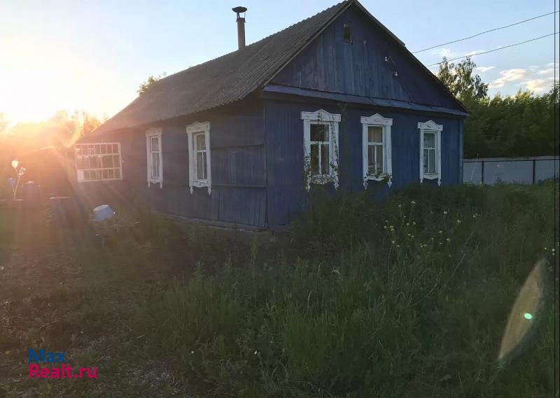 купить частный дом Ряжск деревня Шелемишевские Хутора