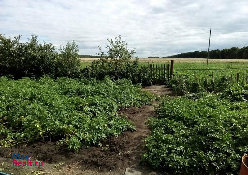 купить частный дом Ряжск Ряжский район, село Петрово