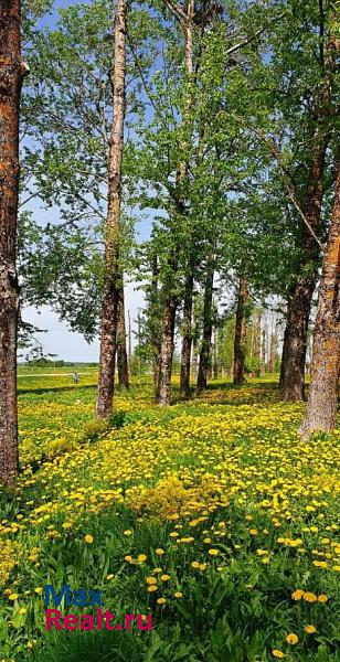 Курское сельское поселение, поселок Курск, 2 Волосово квартира