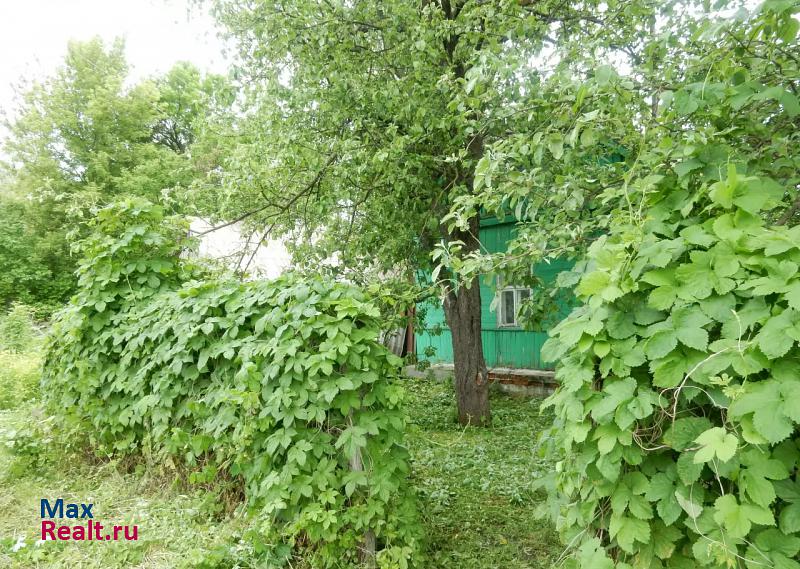 купить частный дом Усмань Поддубровский сельсовет, село Поддубровка, улица Лазовка