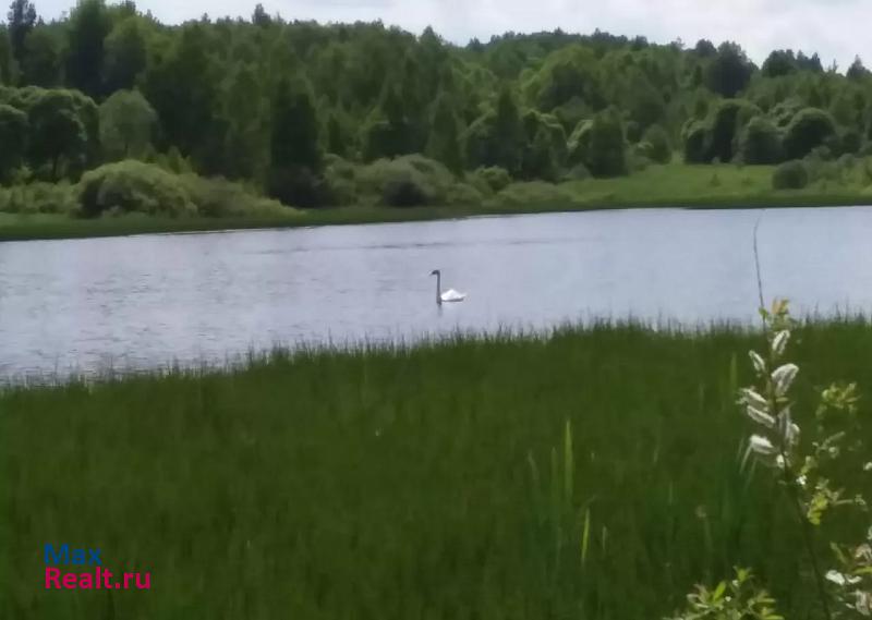 Козельск Калужская обл. Козельский р, село Чернышено, ул.65 лет Победы, д1 частные дома