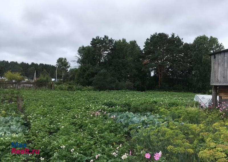 Тара село Екатерининское, улица Сельхозтехники дом купить