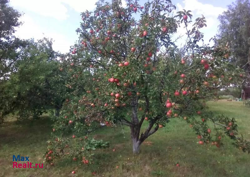 Рыбное село Козловка