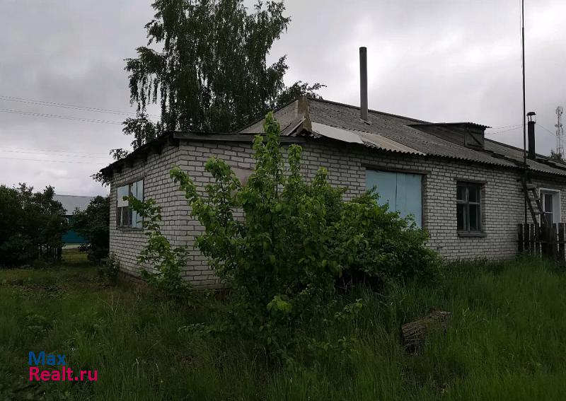 Карасук село, Карасукский район, Шилово-Курья