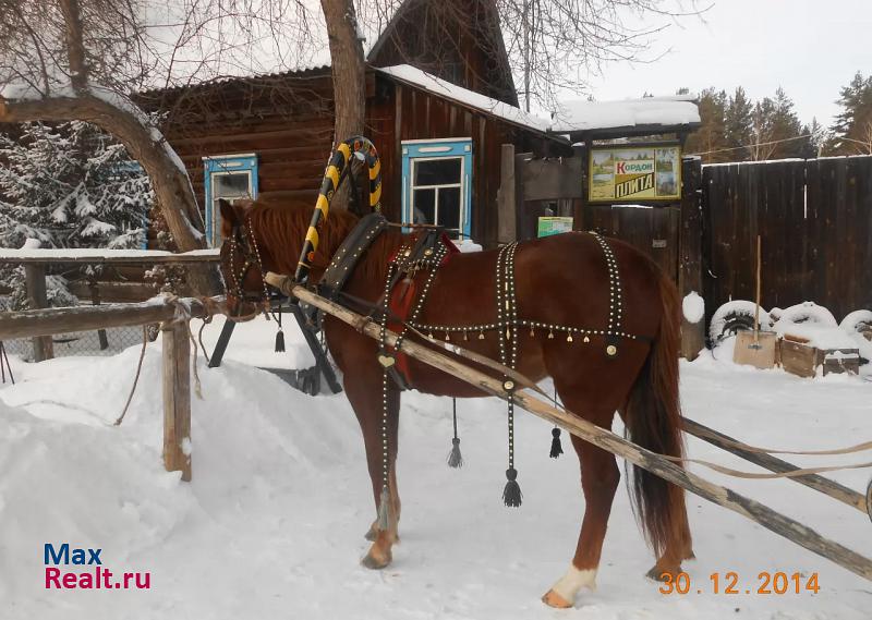 Сысерть 10 км от пос.Верхняя Сысерть дом купить