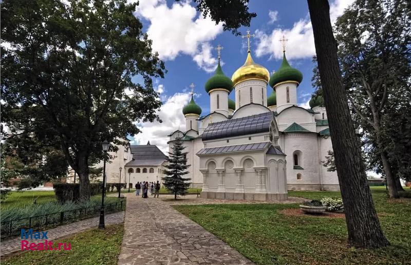 Суздаль Суздальский район, улица Владимира Менци дом купить