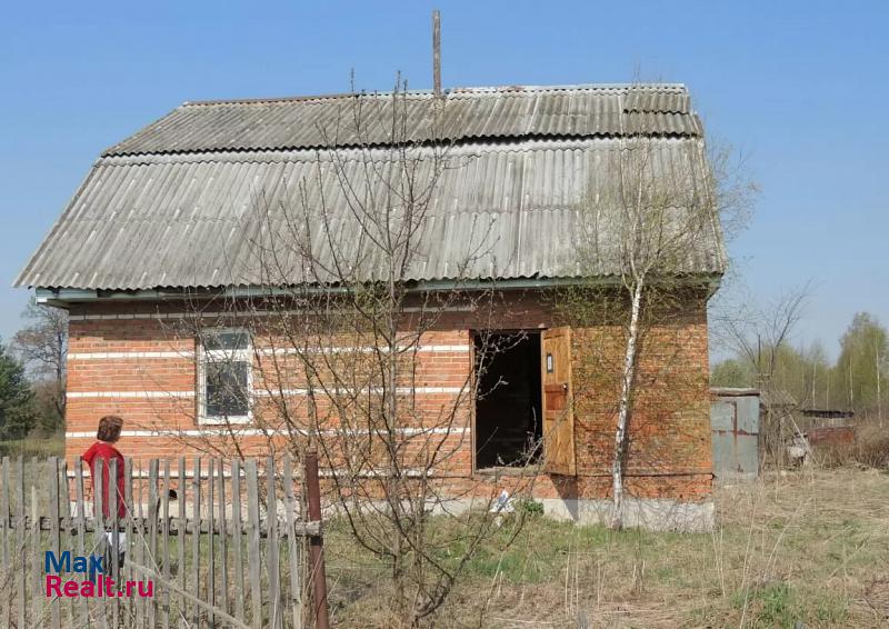 Суздаль село Фомиха частные дома