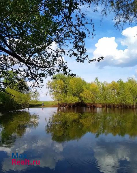 Уварово село Верхний Шибряй, Зелёная улица, 51 дом купить