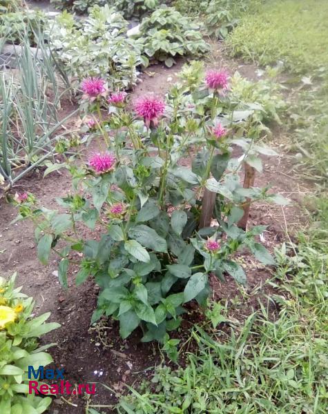 Лысково село Валки, Набережная улица, 15 продажа частного дома