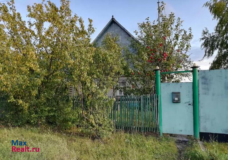 купить частный дом Петровск посёлок городского типа Новые Бурасы