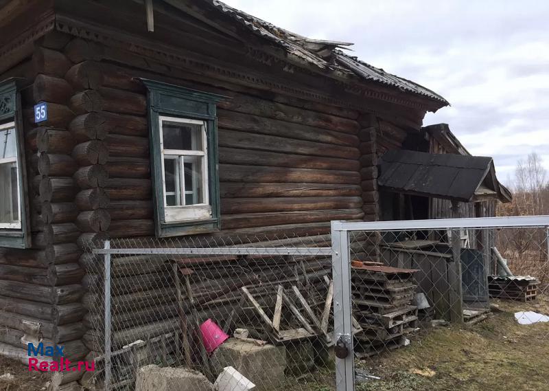 Семенов городской округ Семёновский, деревня Пафнутово частные дома