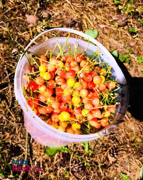 Светлогорск Майская улица, 7 частные дома