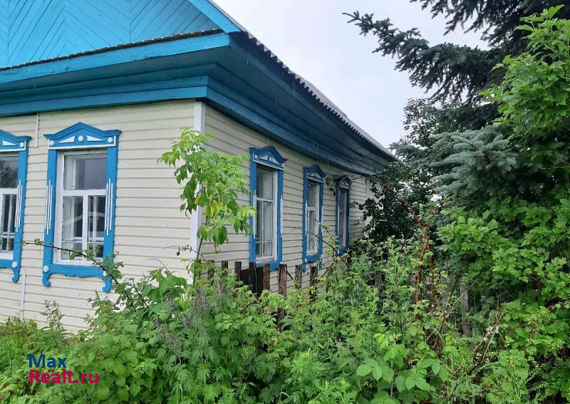 Аша Республика Башкортостан, село Казаяк, Вокзальная улица частные дома