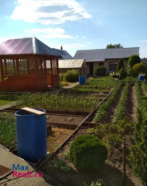 Лосино-Петровский Богородский городской округ, деревня Кабаново