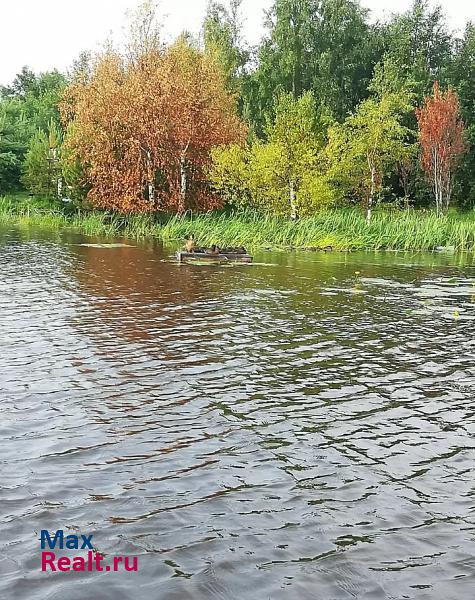 Новая Усмань село Новая Усмань, Новоусманский район, Садовая улица частные дома