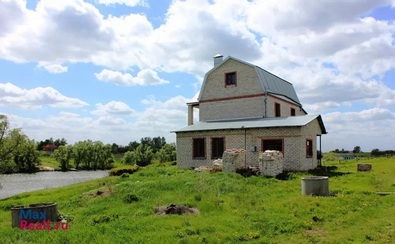 Новая Усмань село Горенские Выселки, Набережная улица частные дома