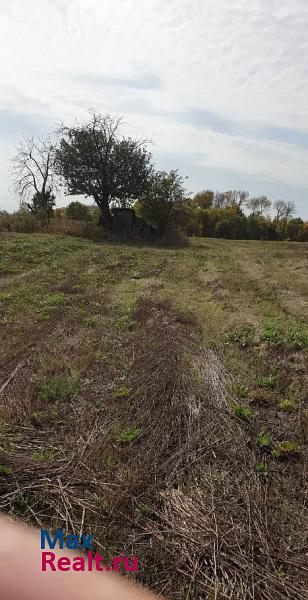 Новая Усмань Новоусманский район, село Казанская Хава, Советская улица дом купить