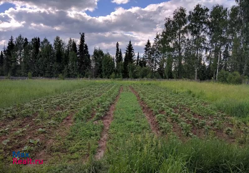 купить частный дом Кудымкар деревня Корчевня