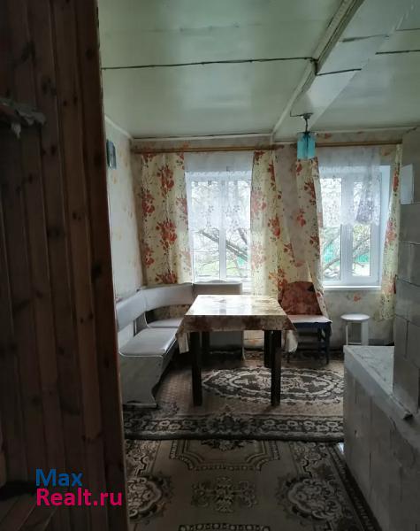 Снежинск село Иткуль продажа частного дома