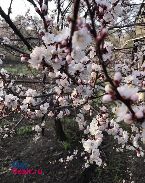 купить частный дом Новотроицк поселок городского типа, Аккермановка