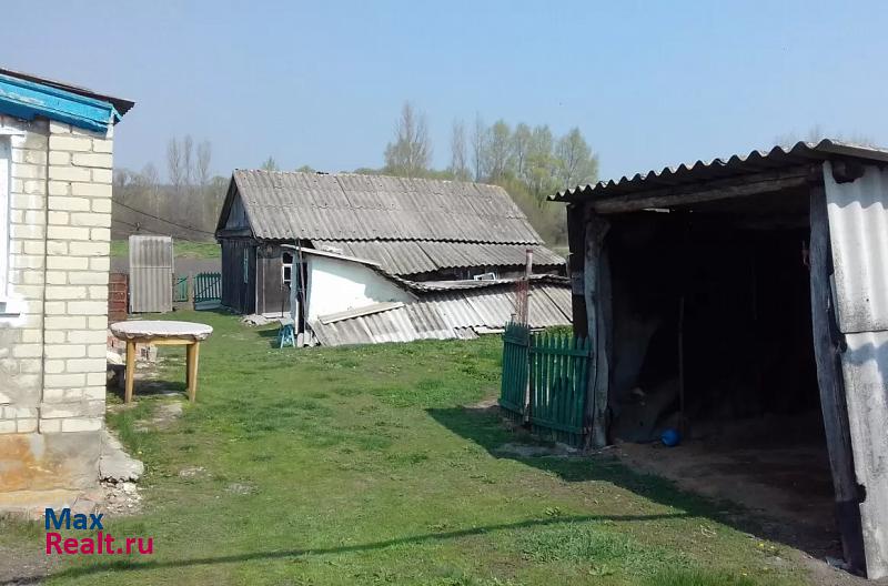 Новый Оскол село Старая Безгинка, улица Малоивановка частные дома