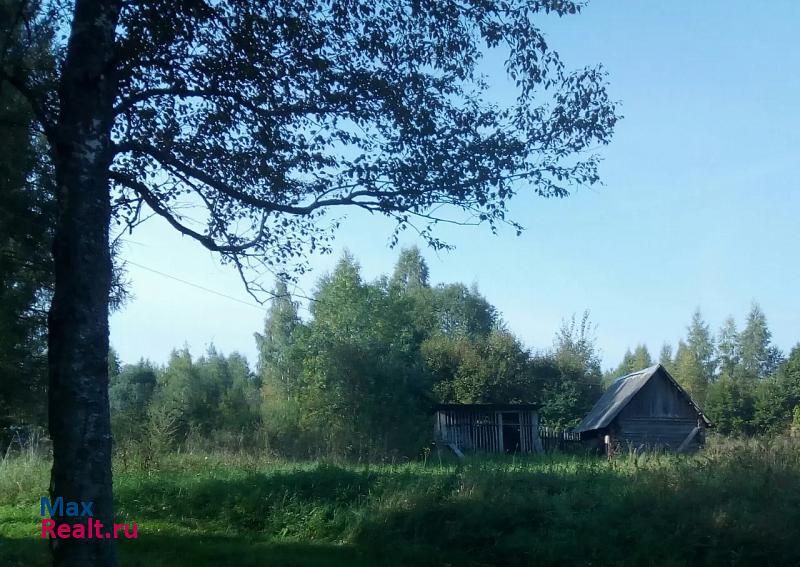 купить частный дом Старая Русса Медниковское сельское поселение, деревня Рамушево