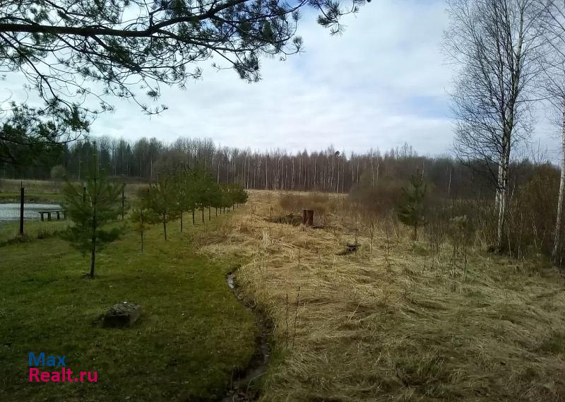 Старая Русса д. Иванково Парфинского района новгородской области дом