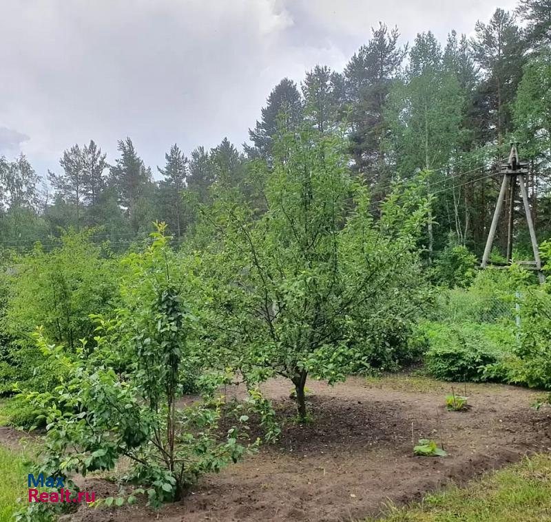 Кондопога Кончезерское сельское поселение, село Кончезеро дом купить