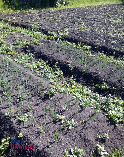 Полевской село Полдневая, улица Максима Горького дом купить