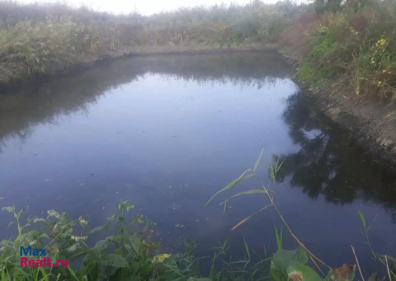 Нововоронеж село Борщево частные дома