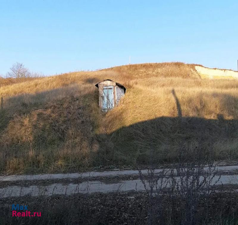 Нововоронеж село Борщево дом купить