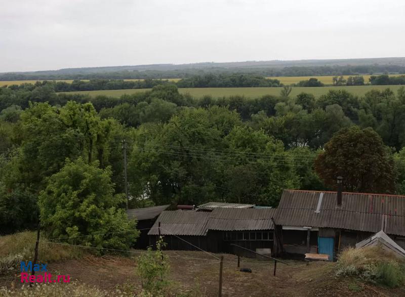 Нововоронеж Хохольский район, село Борщево продажа частного дома