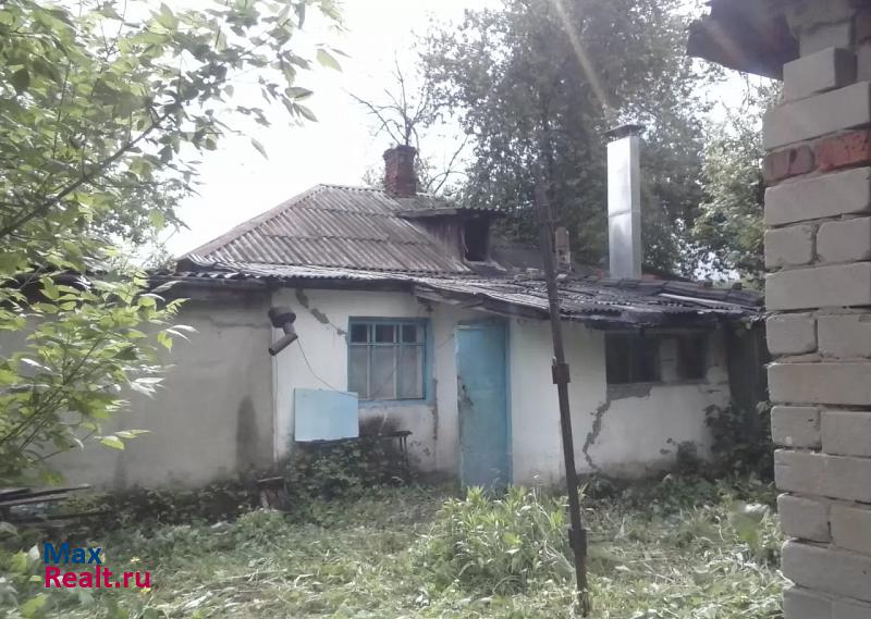 Нововоронеж село Борщево, улица Архипова, 38
