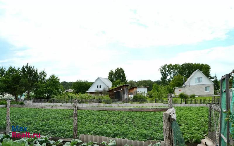 Заринск Заринский район, поселок Батунный, Зелёная улица