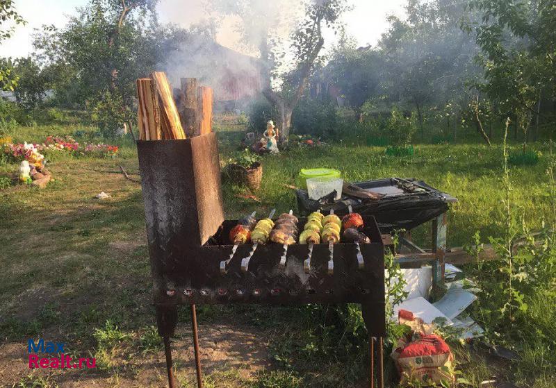 Острогожск Острогожский район, село Криница, Рабочий переулок частные дома