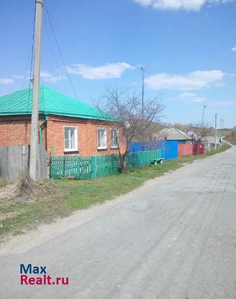 Острогожск село Новая Осиновка частные дома