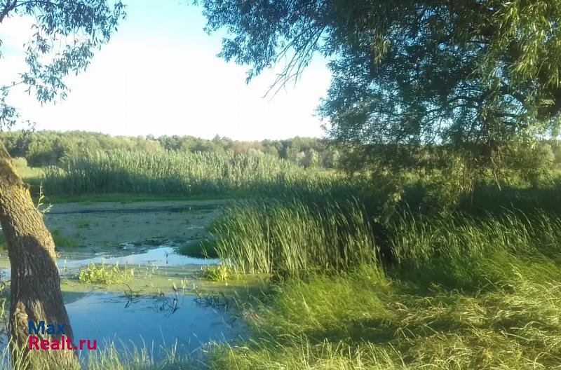 Острогожск Набережный переулок частные дома