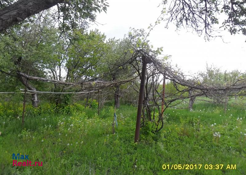 Острогожск хутор Губаревка, Лесная улица дом