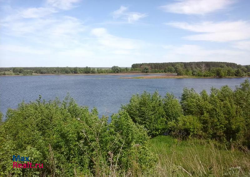 Сасово Сасовский район, село Раково частные дома