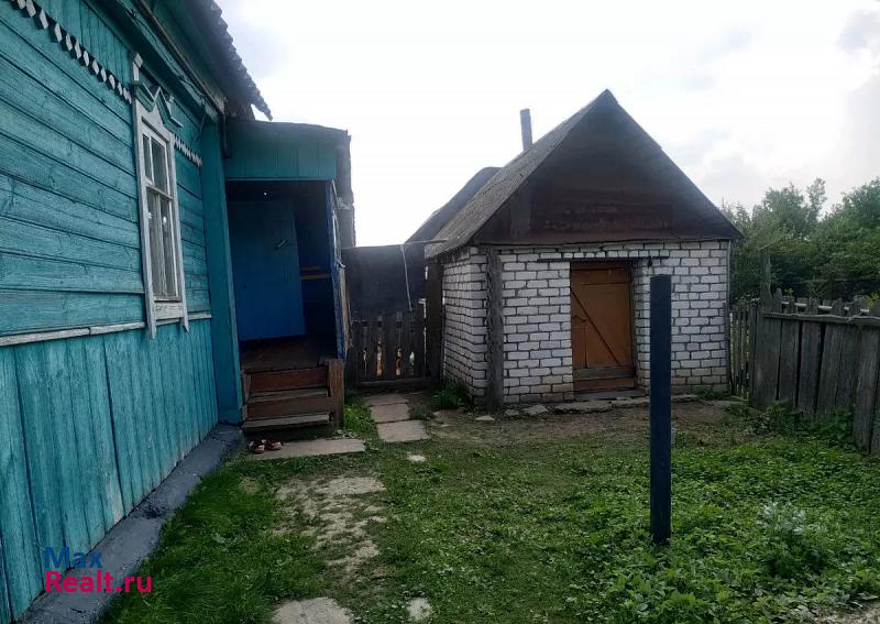 Сасово село Берестянки, Степная улица продажа частного дома