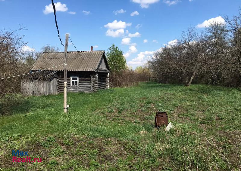 Сасово село Темирево, Садовая улица дом