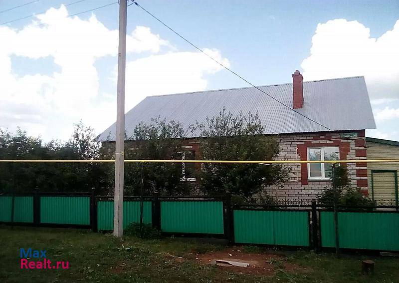 Азнакаево село Карамалы продажа частного дома