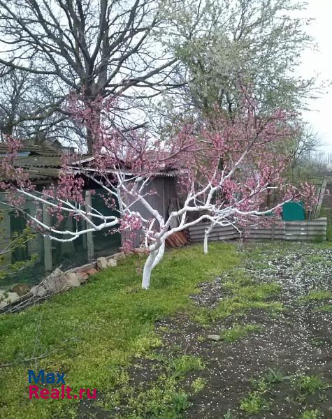 Джанкой село Новостепное, Виноградная улица частные дома